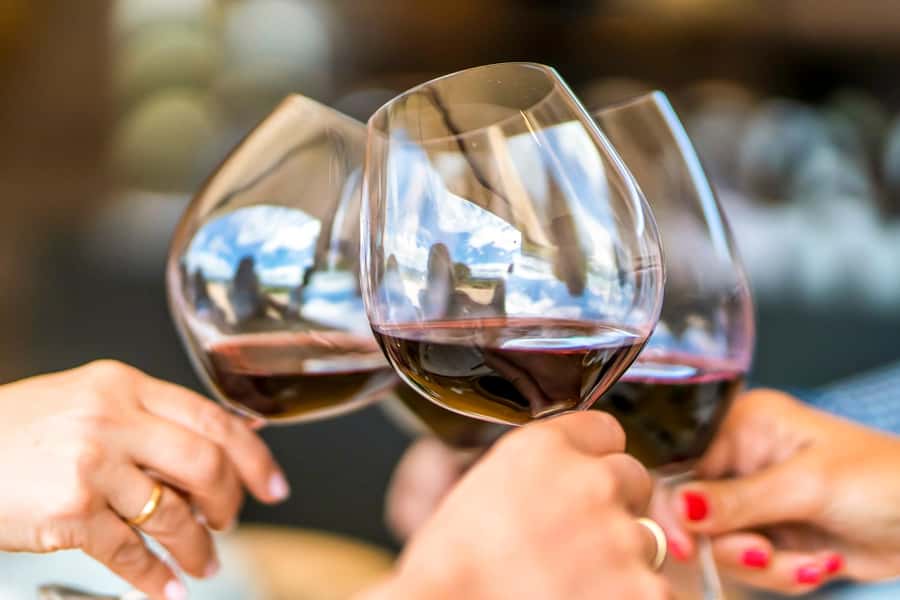 Santiago: Main Chilean Wineries Private Half-Day Tours - Guide quality and what to expect on the ground