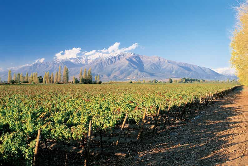 Santiago: Main Chilean Wineries Private Half-Day Tours - My booking call