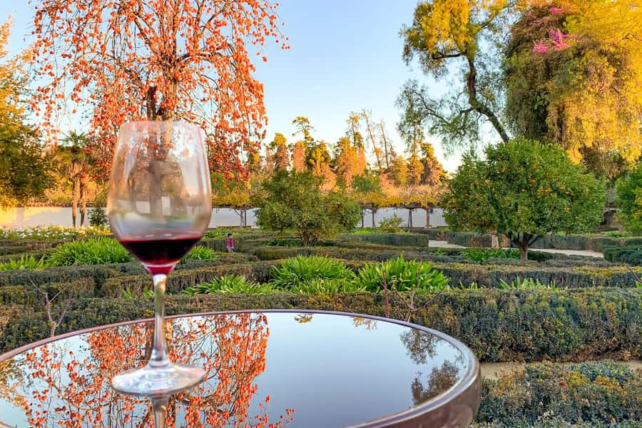 Santiago: Main Chilean Wineries Private Half-Day Tours - What one winery visit can show you