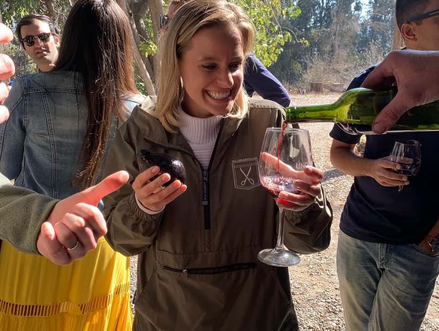 Santiago: Maipo Valley Wine Tasting Tour with 4 Vineyards - Why Maipo Valley works as a Santiago day trip