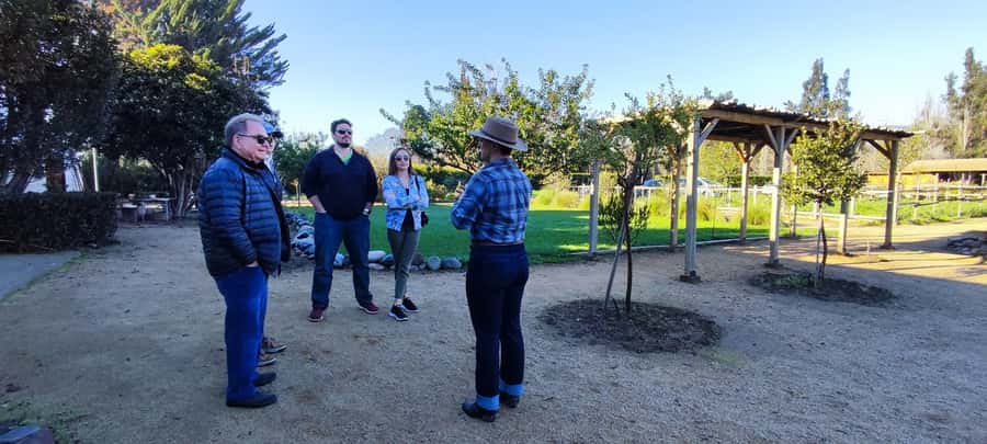 Santiago: Maipo Valley Wine Tasting Tour with 4 Vineyards - Should you book it?