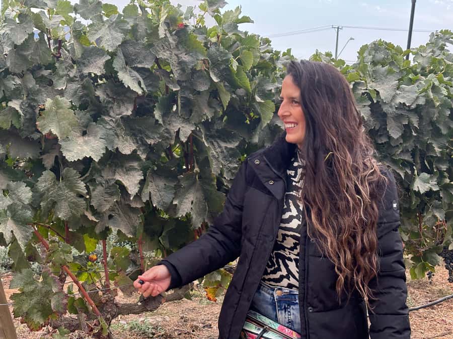 Santiago: Maipo Valley Wine Tasting Tour with 4 Vineyards - TerraMater is the practical lunch break