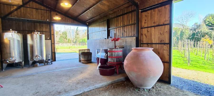 Santiago: Maipo Valley Wine Tasting Tour with 4 Vineyards - How the $134 price holds up