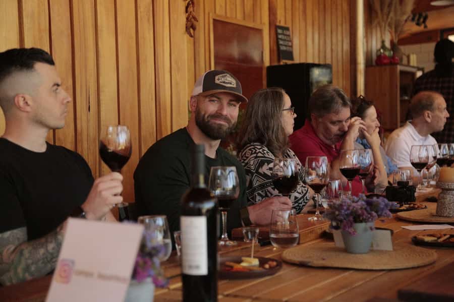 Santiago: Maipo Valley Wine Tasting Tour with 4 Vineyards - Who should book this Maipo Valley tour