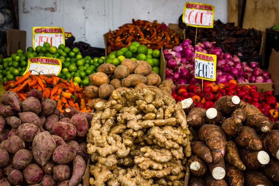 Santiago: Markets Bike Tour - A gentle ride through Bellavista
