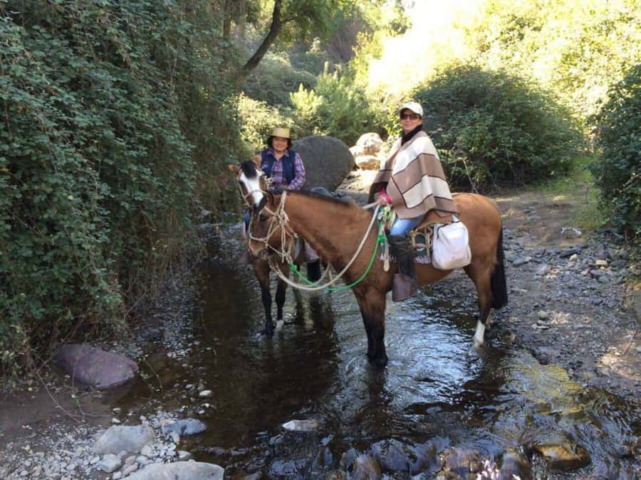 Santiago: Private Andes Foothills Horseback Riding. Half day - What $250 buys you