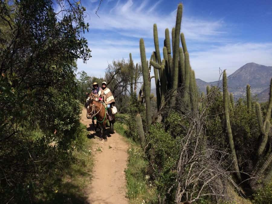 Santiago: Private Andes Foothills Horseback Riding. Half day - Riding uphill through Chilean forest