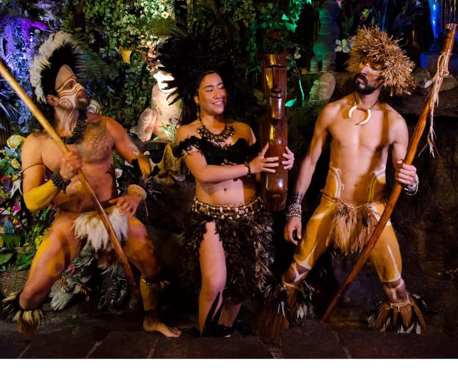 Santiago: Private Dinner & Chilean Folk Show with Transfers - Chile from the altiplano to the south
