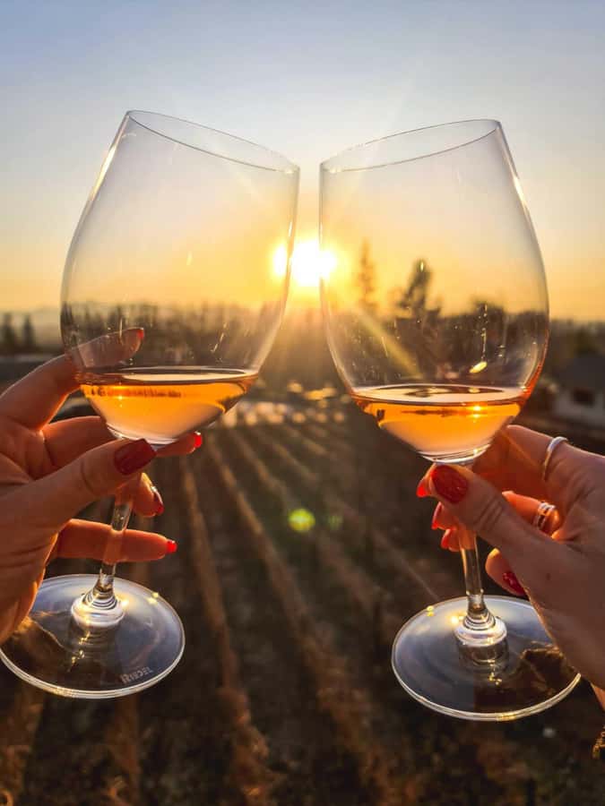 Santiago: Sunset at Vinicola Alyan Family - Who should book this sunset wine tour?