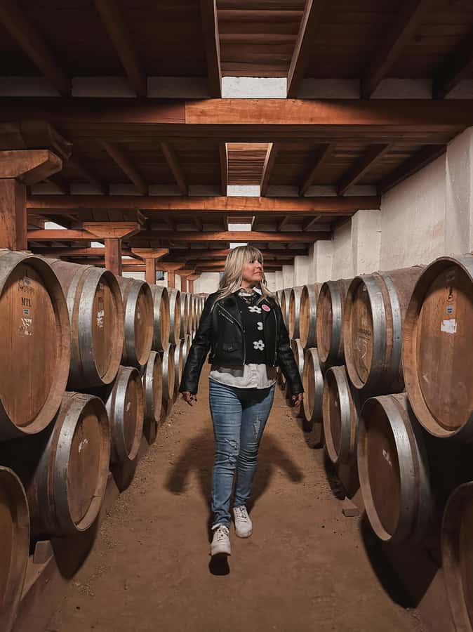 Santiago: Tour to Isla Negra, Algarrobo and Undurraga Wines - Undurraga Winery: gardens, cellars, and four wines