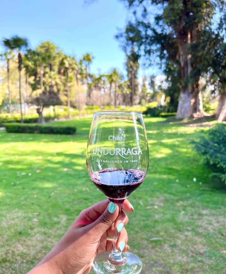 Santiago: Tour to Isla Negra, Algarrobo and Undurraga Wines - Guides, drivers, and the feel of the ride