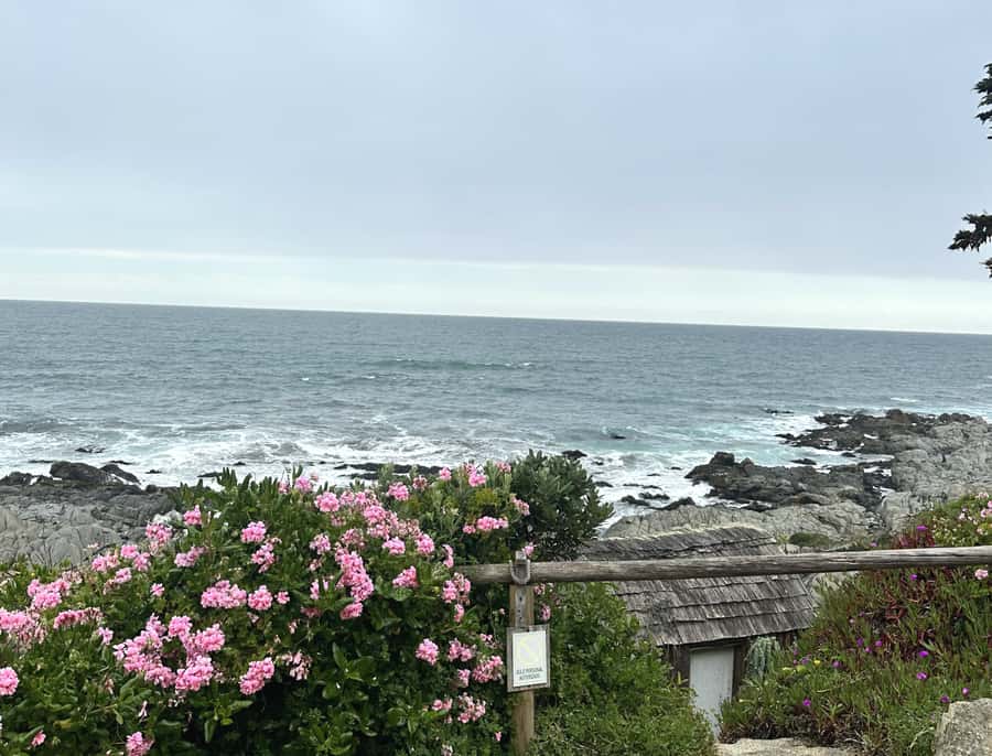 Santiago: Tour to Isla Negra, Algarrobo and Undurraga Wines - What to bring and what to skip