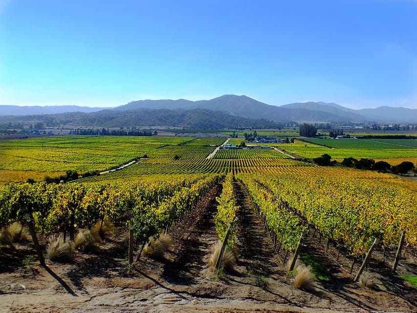 Santiago: Tour to Valparaiso and Casablanca - Small Group, Minivan, and Luggage Details