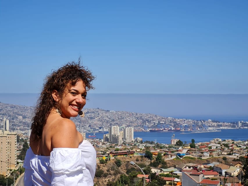 Santiago: Tour to Valparaiso and Casablanca - Who Should Book This Tour?
