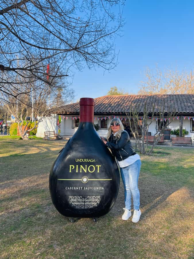 Santiago: Undurraga Winery Tour with Entry and Wine Tasting - Key points to know