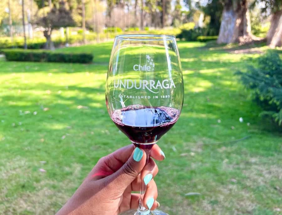 Santiago: Undurraga Winery Tour with Entry and Wine Tasting - Who will enjoy this winery visit?