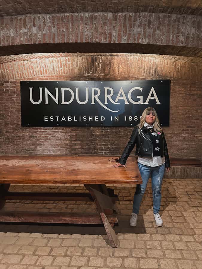 Santiago: Undurraga Winery Tour with Entry and Wine Tasting - Why Undurraga makes a good first winery visit