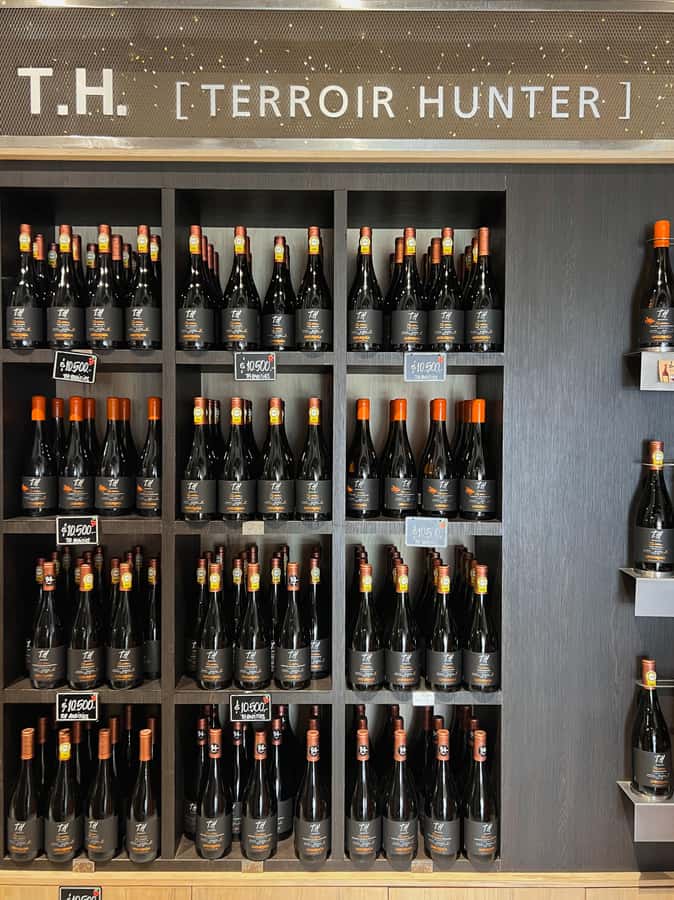 Santiago: Undurraga Winery Tour with Entry and Wine Tasting - Four wines and a glass to take home