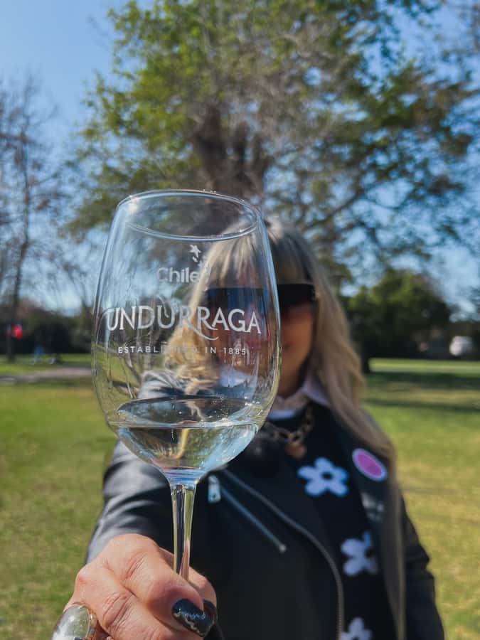 Santiago: Undurraga Winery Tour with Entry and Wine Tasting - The ride from Santiago to Fundo Santa Ana