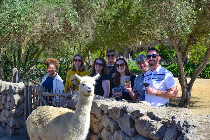 Santiago: Viña del Mar, Valparaiso & Casablanca Valley Tour - The guides make the difference