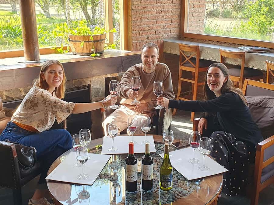 Santiago: World-class Wines, Visit to 4 Vineyards and Tanino - Key points to know before booking
