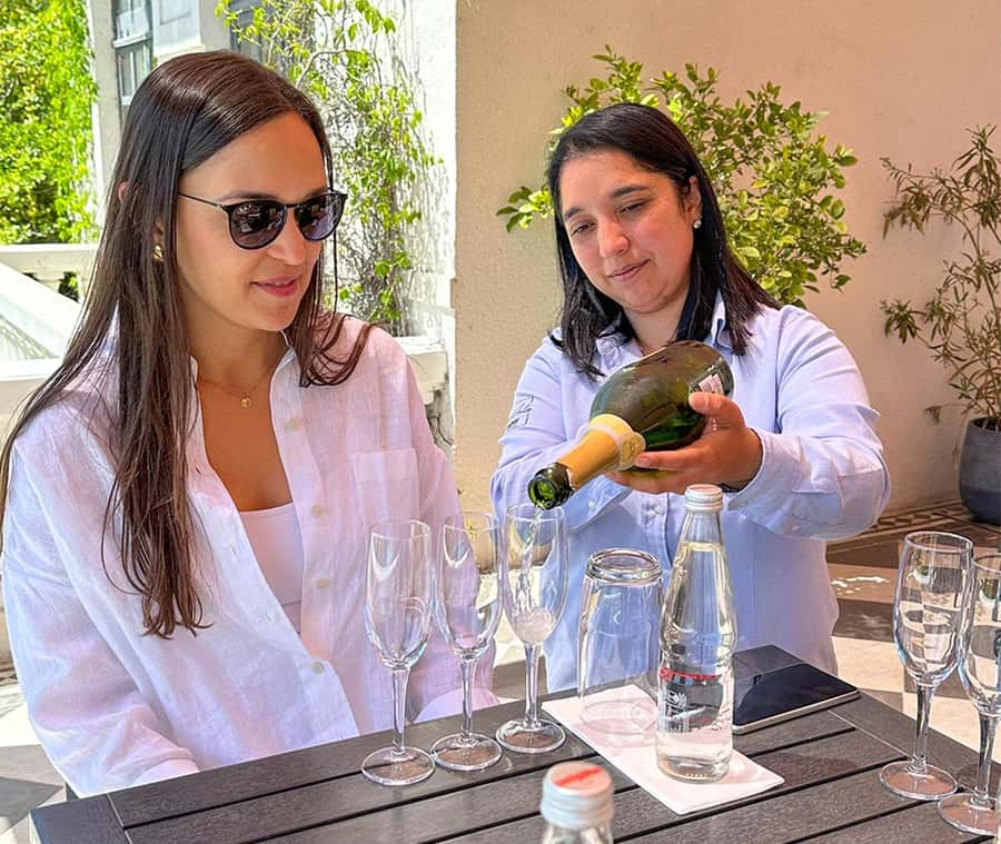 Santiago: World-class Wines, Visit to 4 Vineyards and Tanino - Who should book this day?