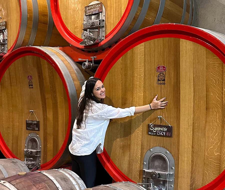 Santiago: World-class Wines, Visit to 4 Vineyards and Tanino - Emiliana Organic Vineyards: a strong first stop
