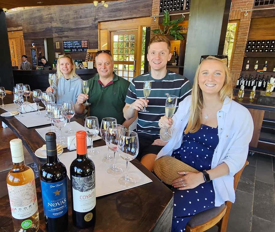 Santiago: World-class Wines, Visit to 4 Vineyards and Tanino - Bodegas RE: the most individual stop