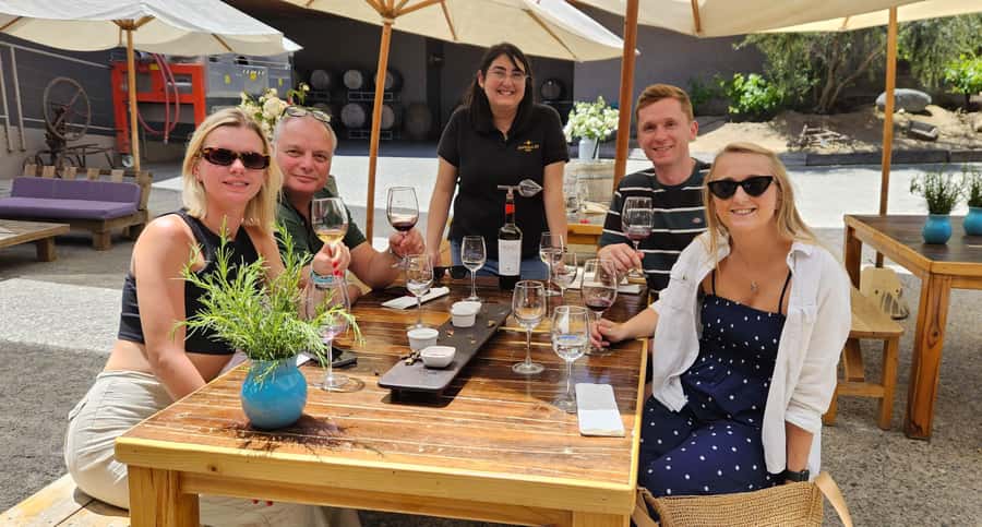 Santiago: World-class Wines, Visit to 4 Vineyards and Tanino - Casas del Bosque and Tanino: the long final stop