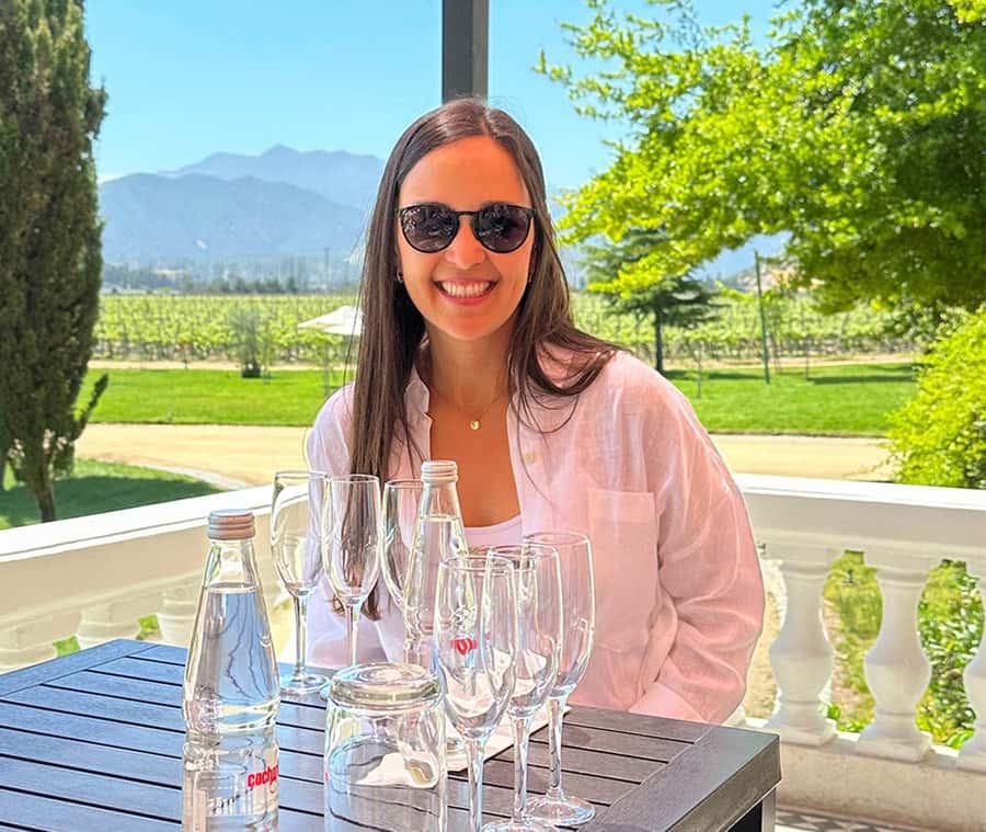 Santiago: World-class Wines, Visit to 4 Vineyards and Tanino - Pickup, transport, and group size