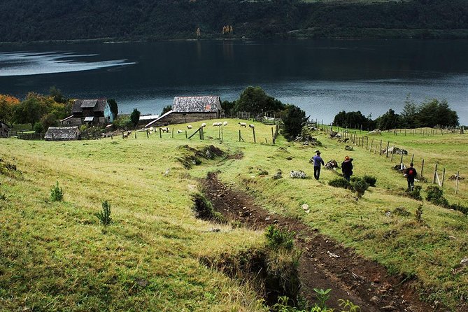 Sea Kayaking the first fjord of Patagonia - Paddling the Reloncaví Fjord from Ensenada