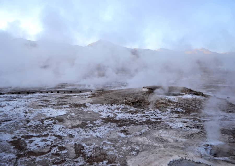 Tatio Gayser - Tour : San Pedro de Atacama - Chile - Walking among steam, water, and desert plants
