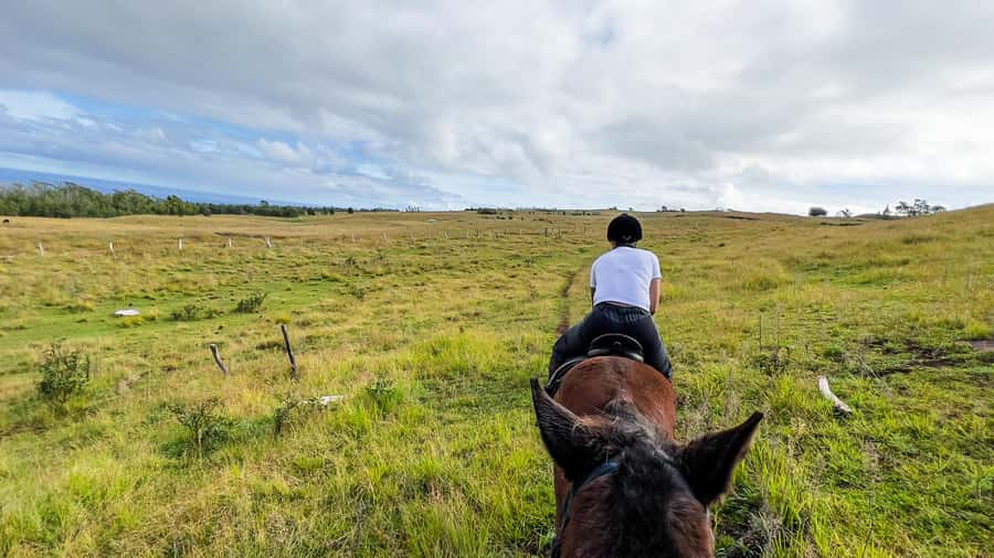 Terevaka Horse Excursion: The highest point and 360° view. - Key points about the Terevaka ride