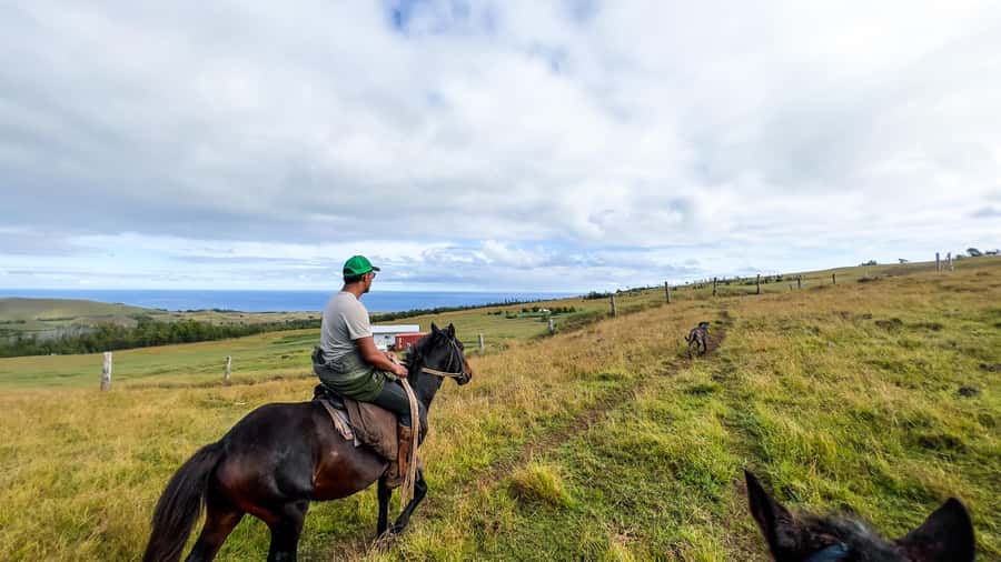 Terevaka Horse Excursion: The highest point and 360° view. - What the 150-minute outing feels like