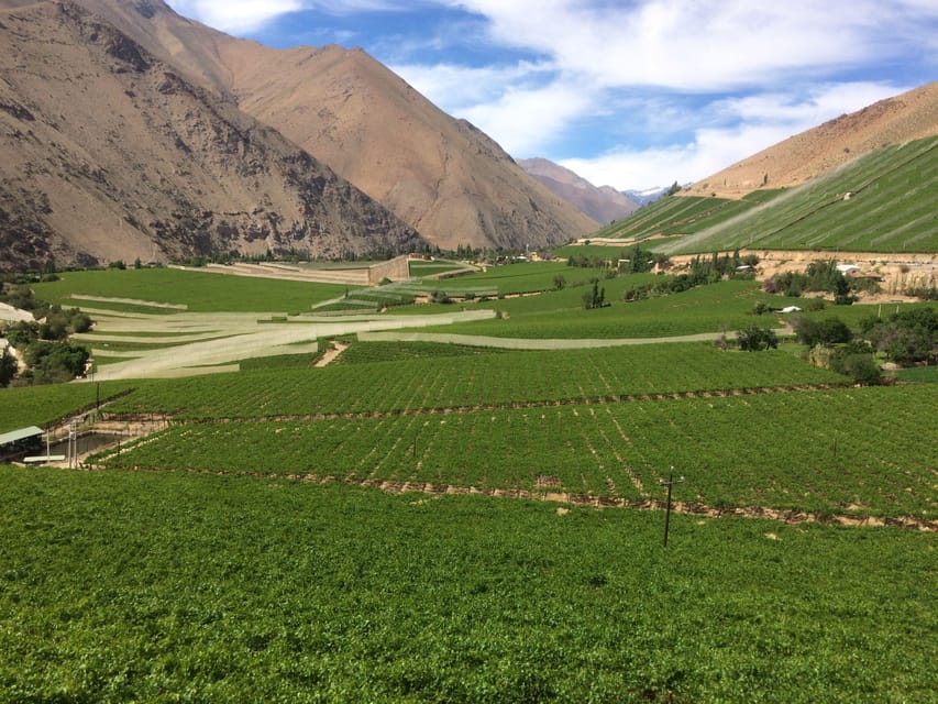 The Magnificient Elqui Valley Grand Tour - Why the Elqui Valley makes such a good day trip