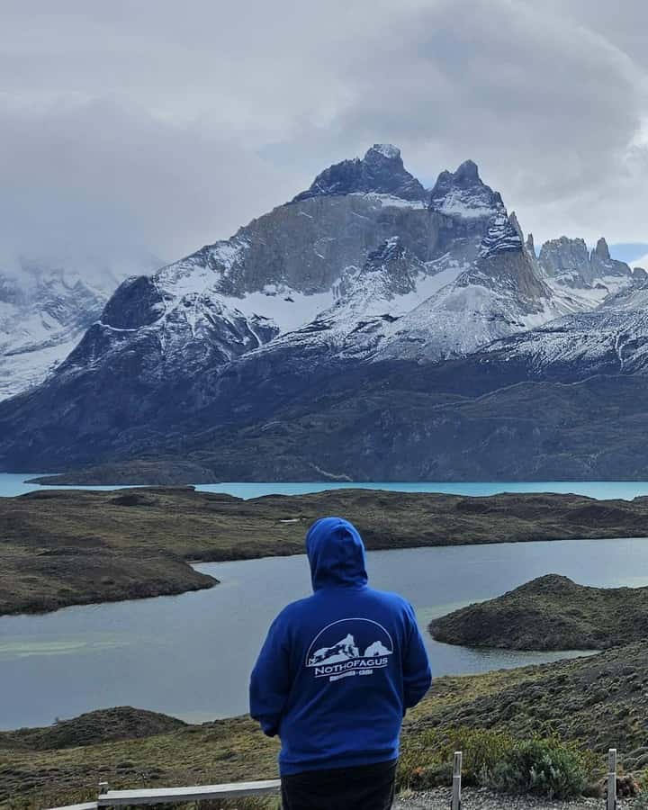 Torres del Paine: Full Day Excursion Torres del Paine + Milodon Cave. - Sarmiento Lake and the first Paine views