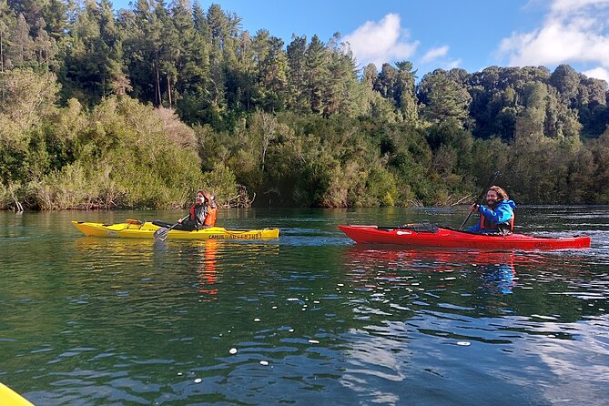 Tour Guiado en Kayak por Rio Maullin / Medío dia en Pto. Varas - From Lake Llanquihue to the Maullín River