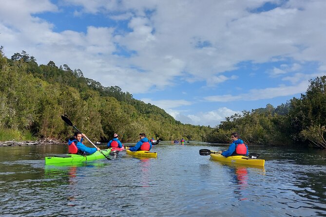 Tour Guiado en Kayak por Rio Maullin / Medío dia en Pto. Varas - Who will enjoy this most