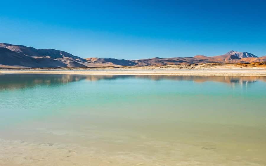 Tour Piedras Rojas + Altiplanic Lagoons + Chaxa Lagoon - Chaxa Lagoon and the salt flats