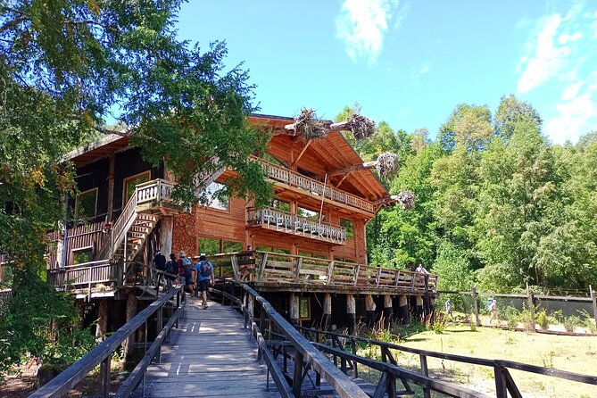 Tour to Huilo Huilo from Pucón, Villarrica - From Pucón or Villarrica to Lake Panguipulli