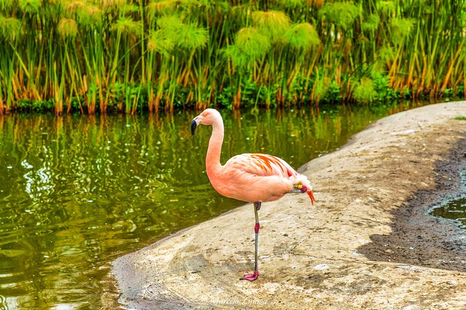 Traditional City Tour - Parque Bicentenario: a modern change of pace