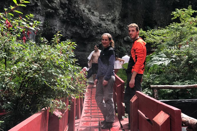 Trekking Mirador el volcano + Geometric hot springs - Walking through araucarias toward Villarrica