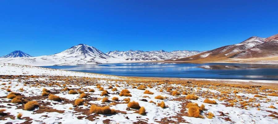 Triple tour: Red stones, highland lagoons and Chaxa Lagoon - Why this Atacama day works so well