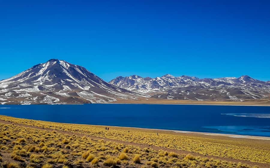 Triple tour: Red stones, highland lagoons and Chaxa Lagoon - Piedras Rojas: red rock and big volcanic views