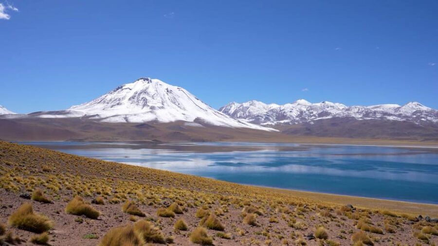 Triple tour: Red stones, highland lagoons and Chaxa Lagoon - Chaxa Lagoon and the search for flamingos