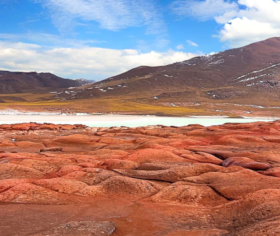 Triple tour: Red stones, highland lagoons and Chaxa Lagoon - The guide can shape the whole day