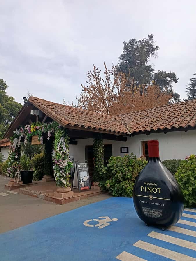 UNDURRAGA VINEYARD - Why Undurraga works well as a Santiago day outing