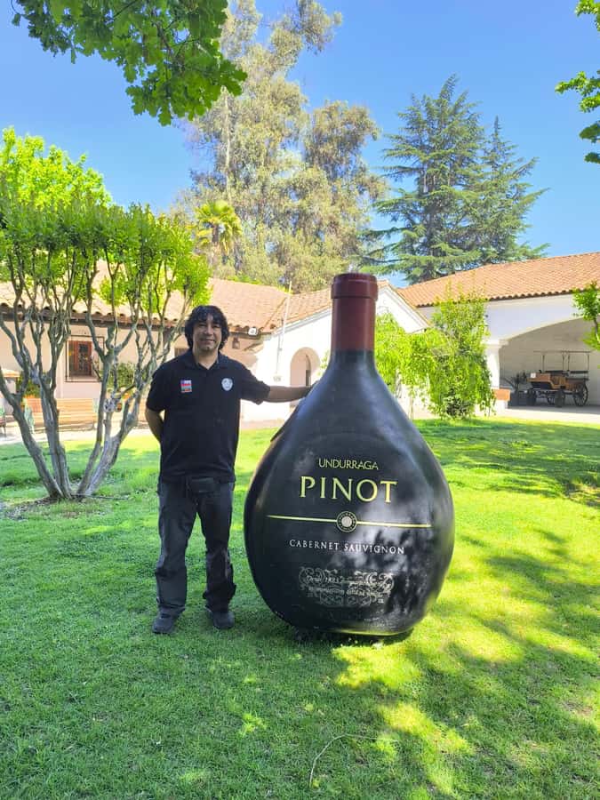 UNDURRAGA VINEYARD - Pickup from Vitacura, Santiago, Providencia, or Las Condes