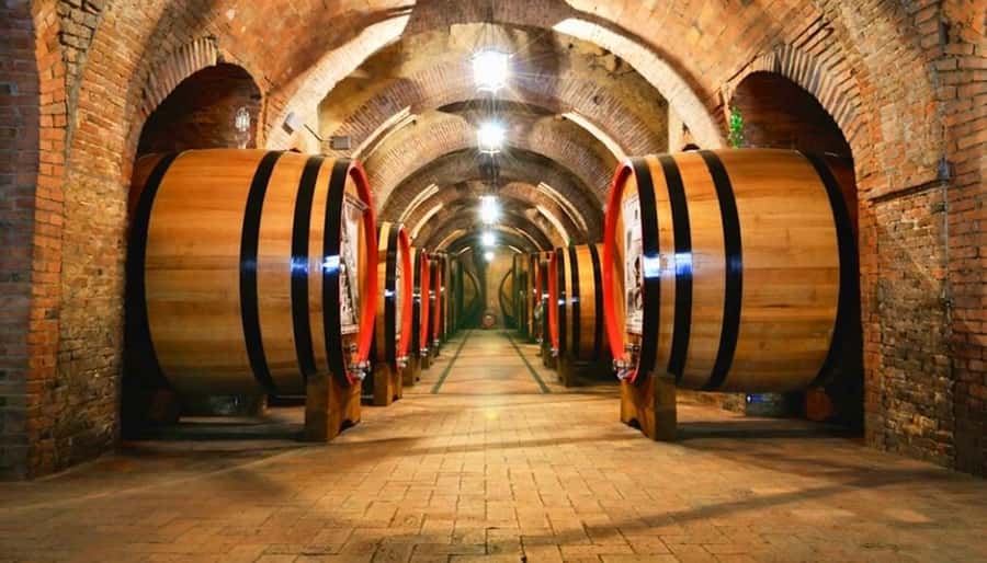 Undurraga Wine tour - Four Undurraga Wines, Not an All-Day Tasting