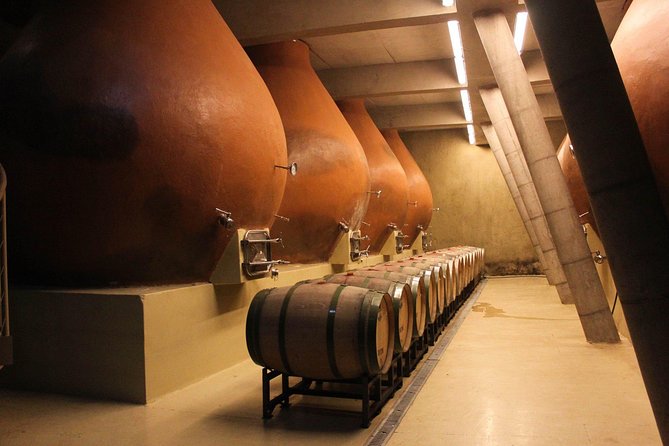 Valparaiso & Casablanca : Wine, Gastronomy and Living Culture - Casablanca starts the day with wine